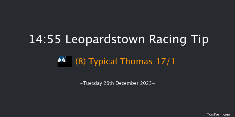 Leopardstown 14:55 Handicap Chase 17f Sun 22nd Oct 2023