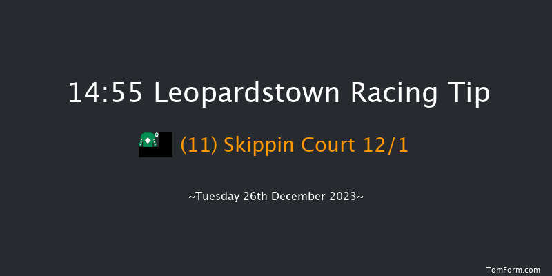 Leopardstown 14:55 Handicap Chase 17f Sun 22nd Oct 2023