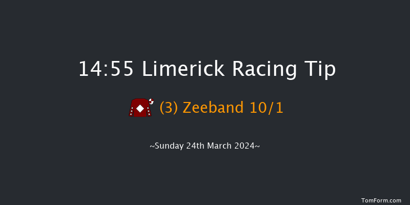 Limerick  14:55 Handicap Hurdle 16f Sun 10th Mar 2024