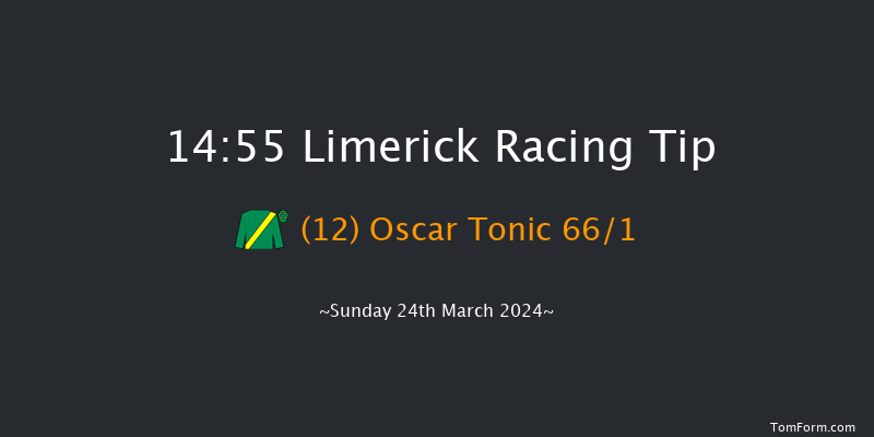 Limerick  14:55 Handicap Hurdle 16f Sun 10th Mar 2024