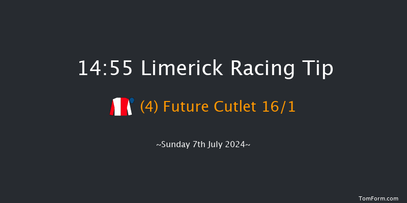 Limerick  14:55 Maiden 8f Sat 22nd Jun 2024