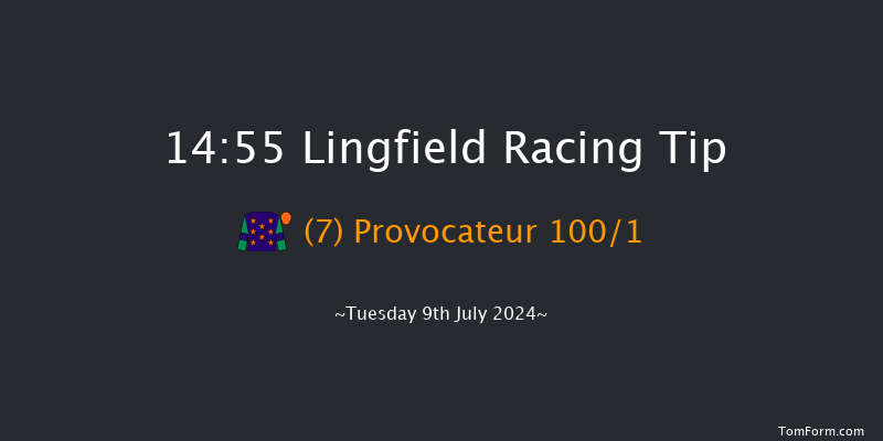 Lingfield  14:55 Stakes (Class 6) 10f Tue 2nd Jul 2024