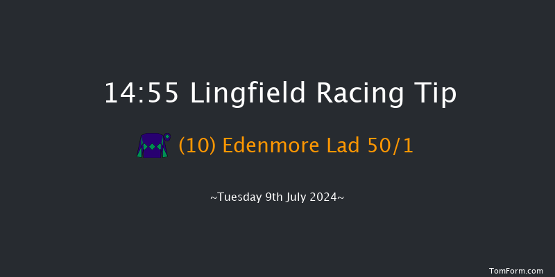 Lingfield  14:55 Stakes (Class 6) 10f Tue 2nd Jul 2024