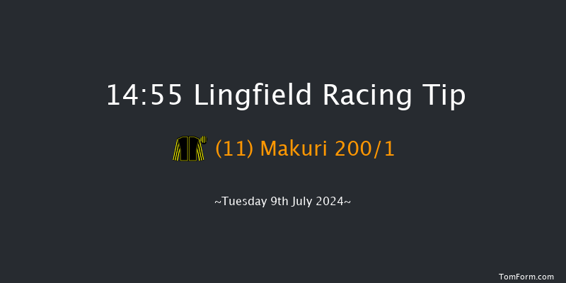 Lingfield  14:55 Stakes (Class 6) 10f Tue 2nd Jul 2024