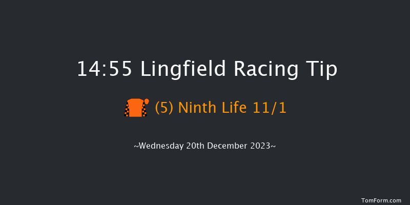 Lingfield 14:55 Handicap (Class 5) 10f Wed 13th Dec 2023