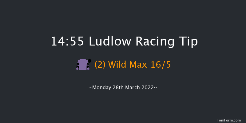 Ludlow 14:55 Handicap Hurdle (Class 3) 16f Wed 23rd Mar 2022