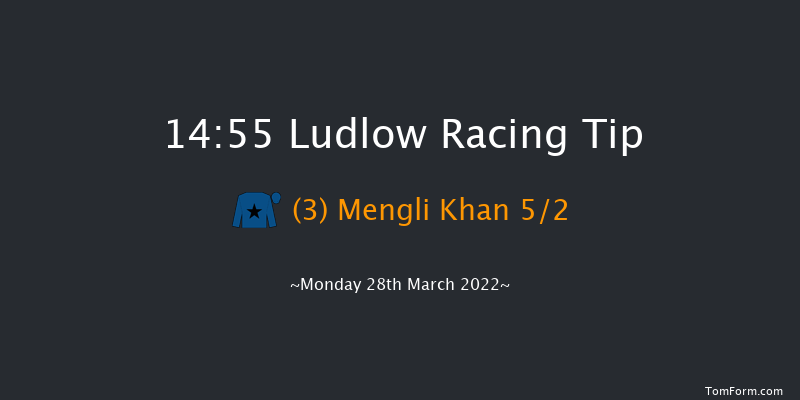 Ludlow 14:55 Handicap Hurdle (Class 3) 16f Wed 23rd Mar 2022