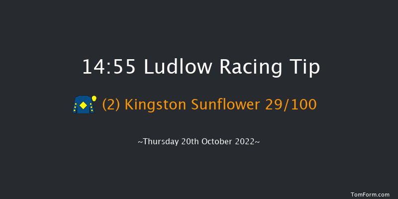 Ludlow 14:55 Maiden Hurdle (Class 4) 16f Mon 23rd May 2022