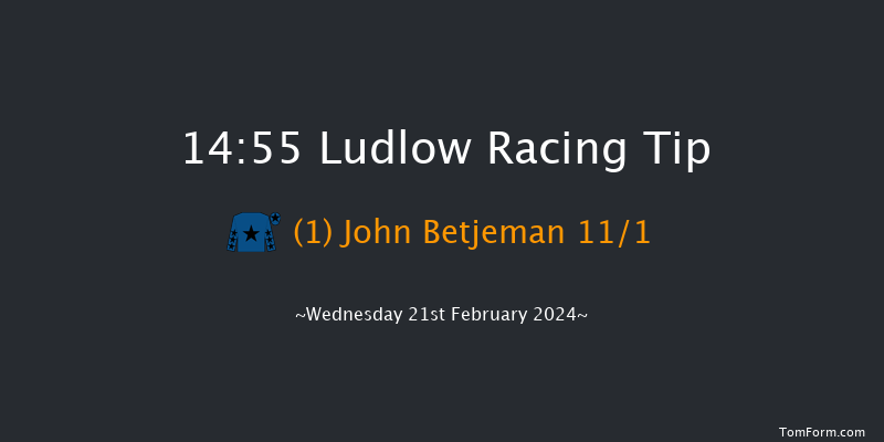 Ludlow  14:55 Handicap Hurdle (Class 4) 16f Wed 7th Feb 2024