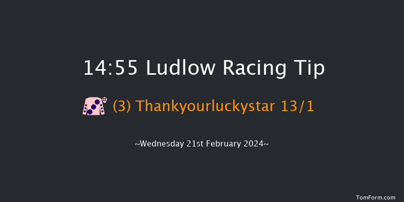 Ludlow  14:55 Handicap Hurdle (Class 4) 16f Wed 7th Feb 2024