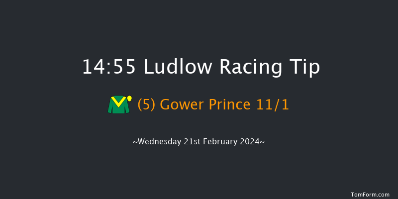 Ludlow  14:55 Handicap Hurdle (Class 4) 16f Wed 7th Feb 2024