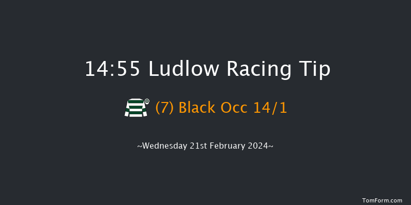 Ludlow  14:55 Handicap Hurdle (Class 4) 16f Wed 7th Feb 2024