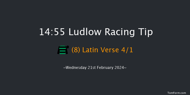 Ludlow  14:55 Handicap Hurdle (Class 4) 16f Wed 7th Feb 2024