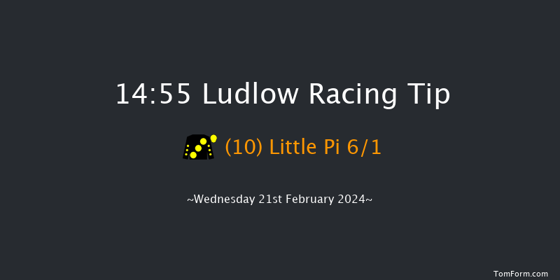 Ludlow  14:55 Handicap Hurdle (Class 4) 16f Wed 7th Feb 2024