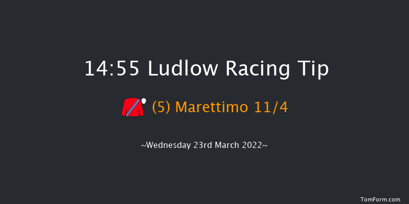 Ludlow 14:55 Handicap Chase (Class 4) 20f Thu 3rd Mar 2022