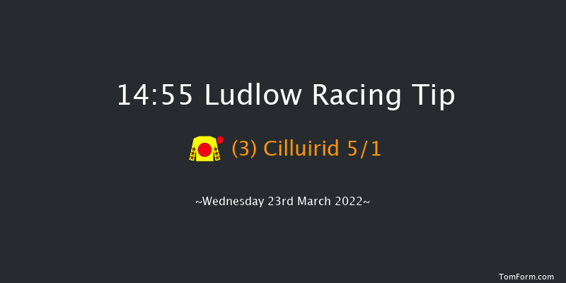 Ludlow 14:55 Handicap Chase (Class 4) 20f Thu 3rd Mar 2022