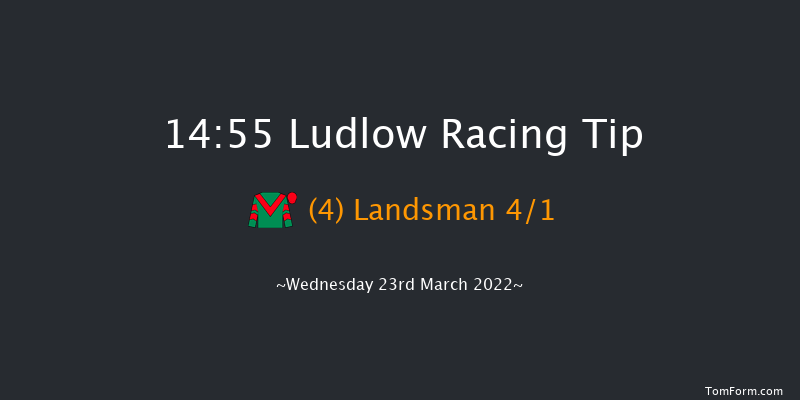 Ludlow 14:55 Handicap Chase (Class 4) 20f Thu 3rd Mar 2022