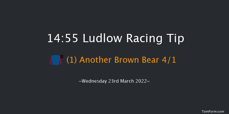 Ludlow 14:55 Handicap Chase (Class 4) 20f Thu 3rd Mar 2022