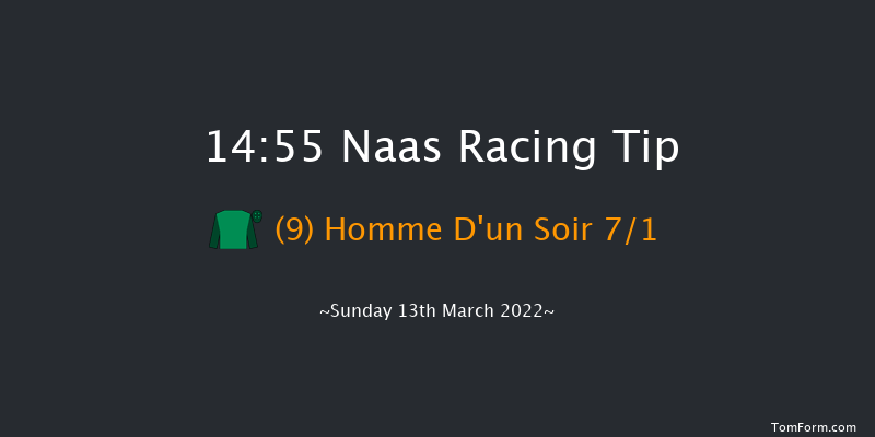 Naas 14:55 Handicap Hurdle 19f Sun 27th Feb 2022