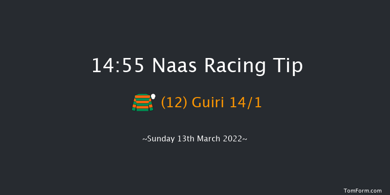 Naas 14:55 Handicap Hurdle 19f Sun 27th Feb 2022