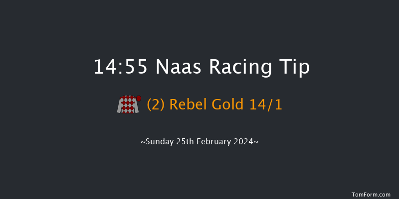 Naas  14:55 Conditions Chase 16f Sat 10th Feb 2024