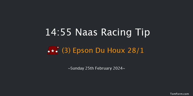 Naas  14:55 Conditions Chase 16f Sat 10th Feb 2024