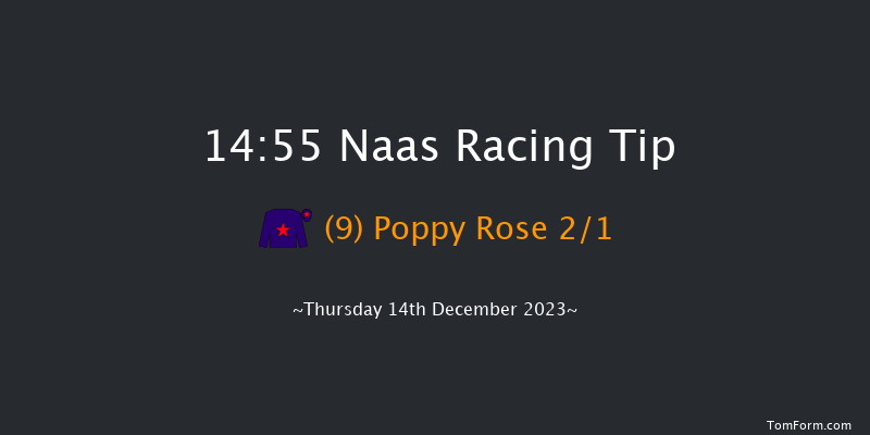 Naas 14:55 Handicap Hurdle 16f Sun 12th Nov 2023