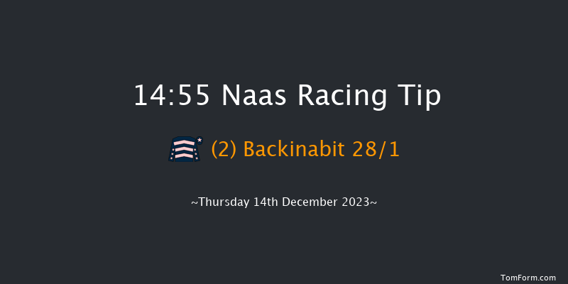 Naas 14:55 Handicap Hurdle 16f Sun 12th Nov 2023