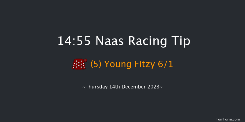 Naas 14:55 Handicap Hurdle 16f Sun 12th Nov 2023