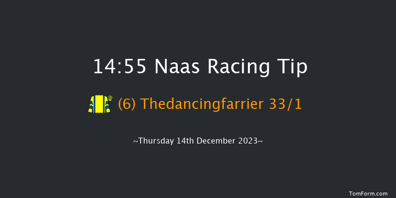 Naas 14:55 Handicap Hurdle 16f Sun 12th Nov 2023