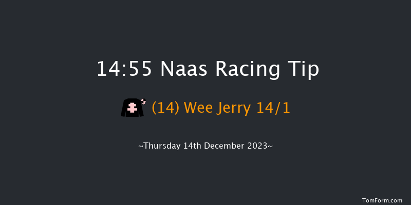 Naas 14:55 Handicap Hurdle 16f Sun 12th Nov 2023