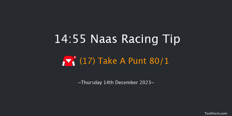 Naas 14:55 Handicap Hurdle 16f Sun 12th Nov 2023