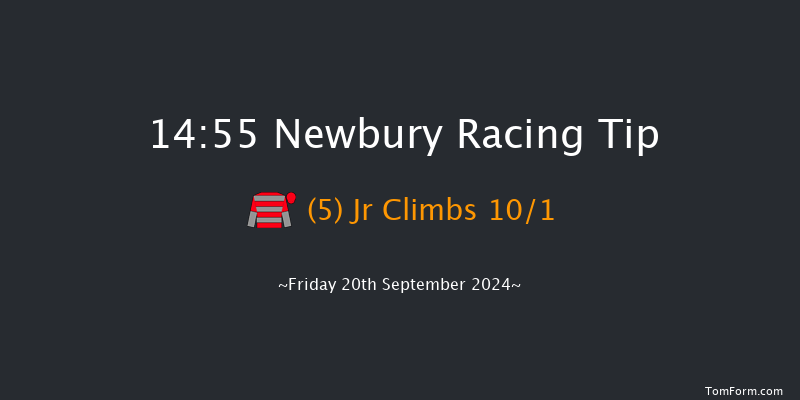 Newbury  14:55 Handicap (Class 4) 7f  Thu 5th Sep 2024