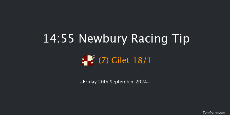 Newbury  14:55 Handicap (Class 4) 7f  Thu 5th Sep 2024