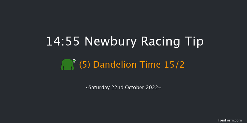 Newbury 14:55 Stakes (Class 4) 8f Fri 21st Oct 2022