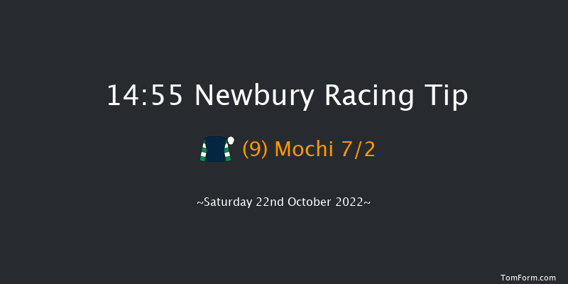 Newbury 14:55 Stakes (Class 4) 8f Fri 21st Oct 2022