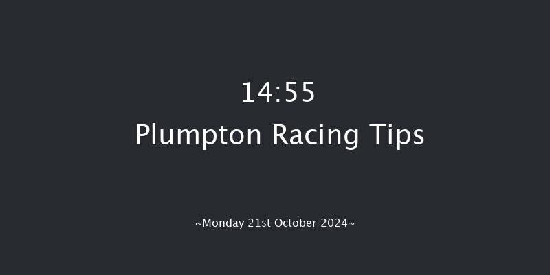 Plumpton  14:55 Handicap Chase (Class 5) 20f  Sun 22nd Sep 2024