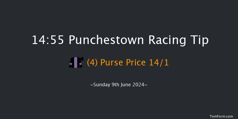 Punchestown  14:55 Handicap
Hurdle 19f Sat 8th Jun 2024