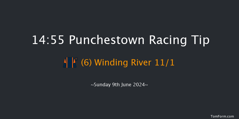 Punchestown  14:55 Handicap
Hurdle 19f Sat 8th Jun 2024