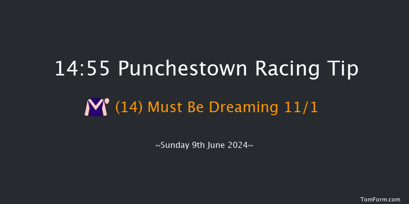 Punchestown  14:55 Handicap
Hurdle 19f Sat 8th Jun 2024