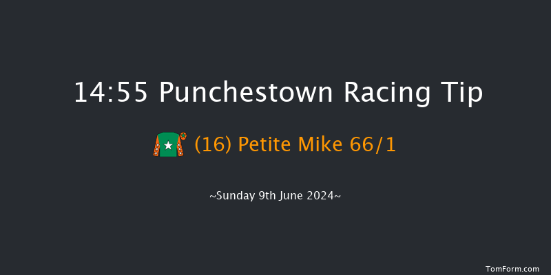 Punchestown  14:55 Handicap
Hurdle 19f Sat 8th Jun 2024