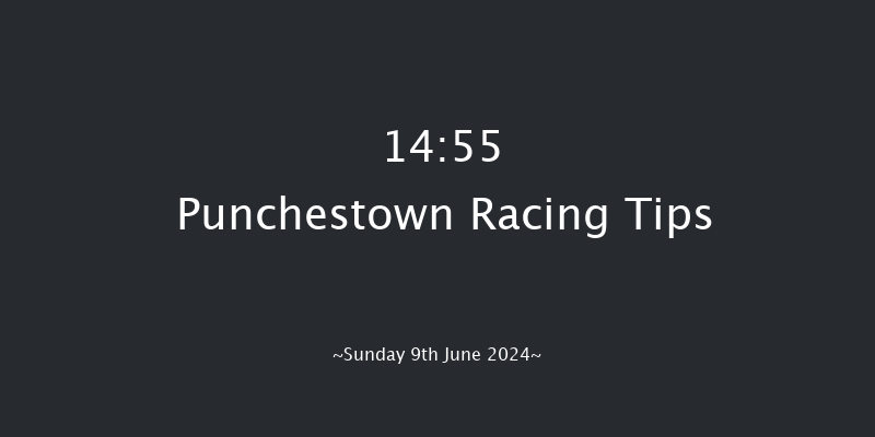 Punchestown  14:55 Handicap
Hurdle 19f Sat 8th Jun 2024