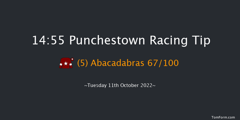 Punchestown 14:55 Conditions Hurdle 18f Tue 13th Sep 2022