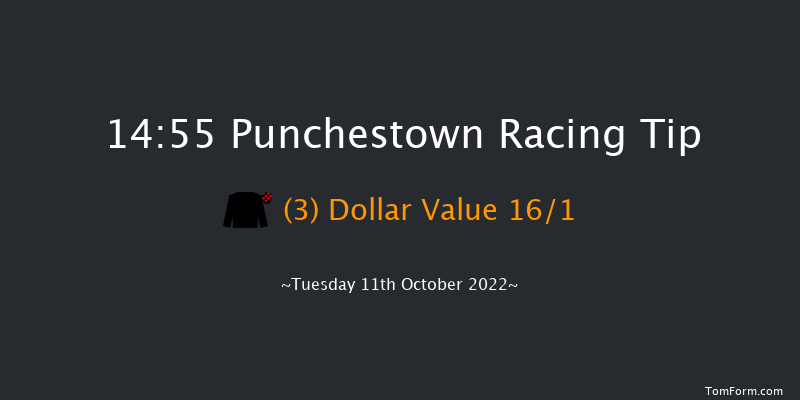 Punchestown 14:55 Conditions Hurdle 18f Tue 13th Sep 2022