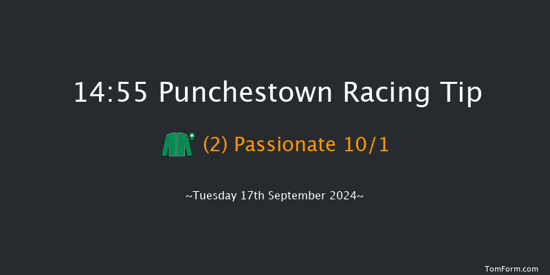 Punchestown  14:55 Handicap 8f Sun 9th Jun 2024