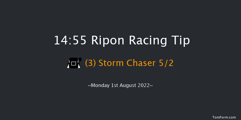 Ripon 14:55 Handicap (Class 5) 14f Sat 16th Jul 2022