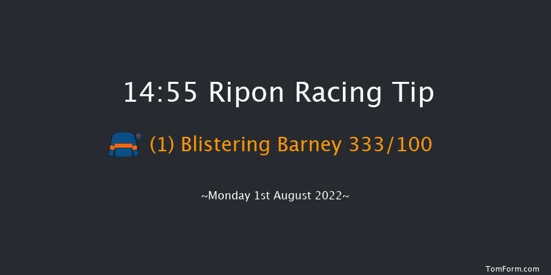 Ripon 14:55 Handicap (Class 5) 14f Sat 16th Jul 2022