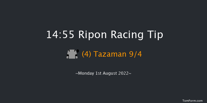 Ripon 14:55 Handicap (Class 5) 14f Sat 16th Jul 2022