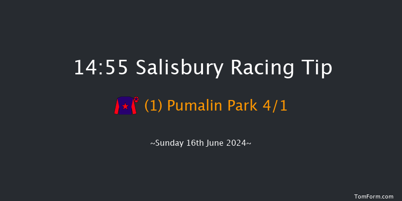 Salisbury  14:55 Handicap (Class 5) 7f Tue 11th Jun 2024