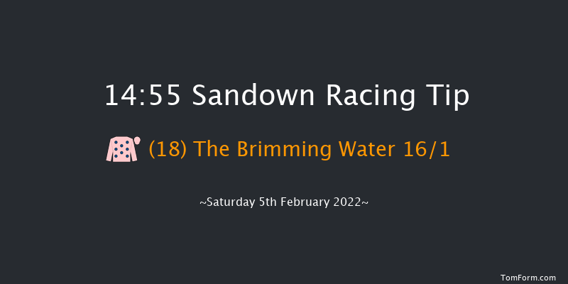 Sandown 14:55 Handicap Hurdle (Class 1) 23f Sat 8th Jan 2022